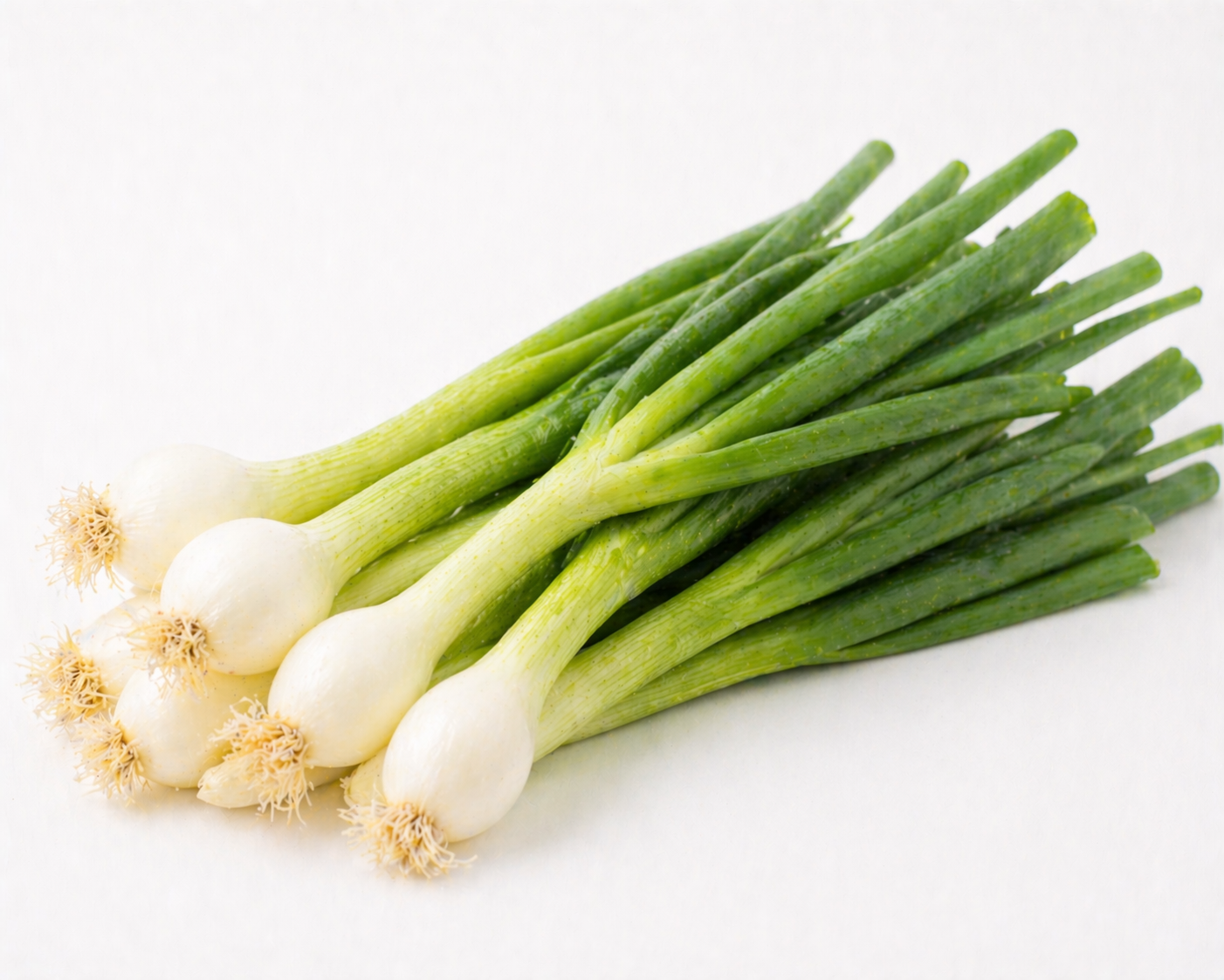 Oignons nouveaux (botte)