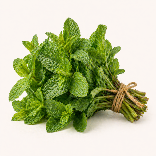 Menthe fraîche (bouquet)