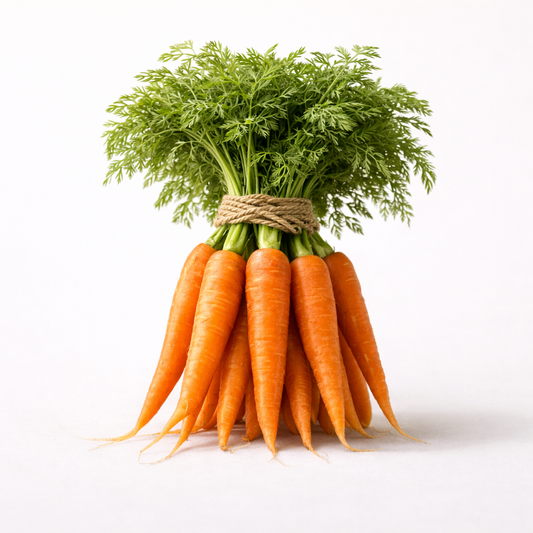 Carottes fanes (botte)
